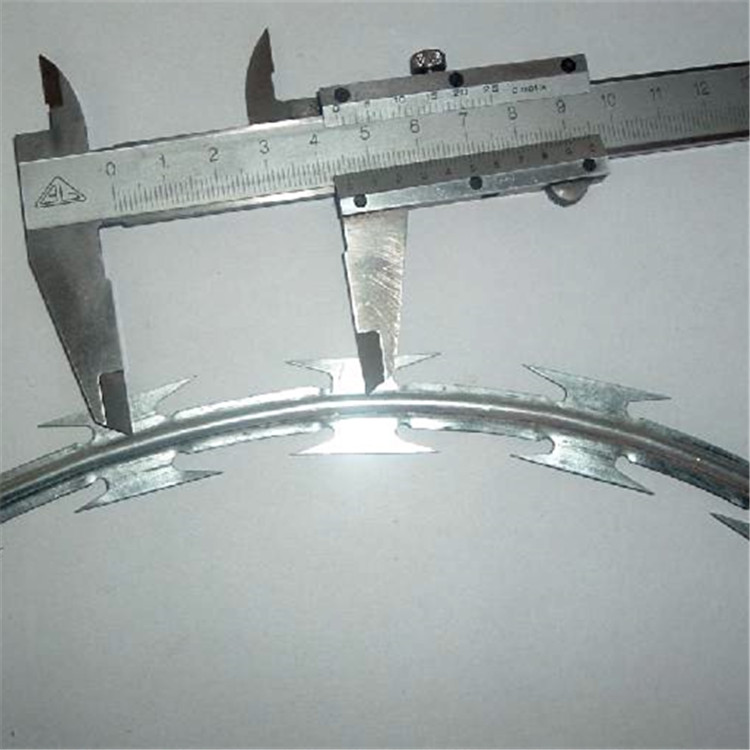 刀片刺網案例展示圖片4