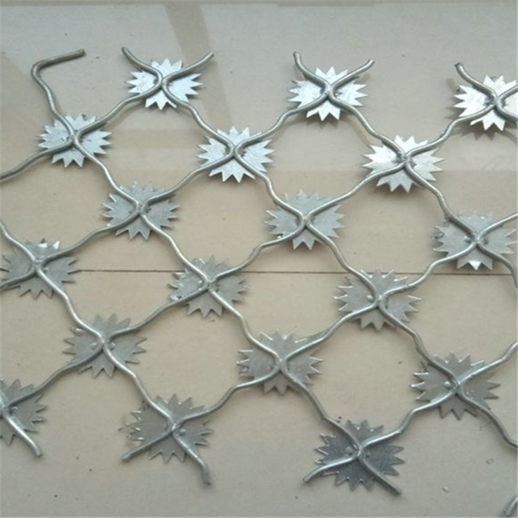 梅花刺隔離網案例展示圖片1