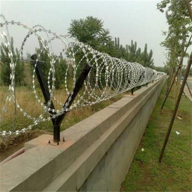 刀片剌網案例展示圖片1 刀片剌網案例展示圖片1