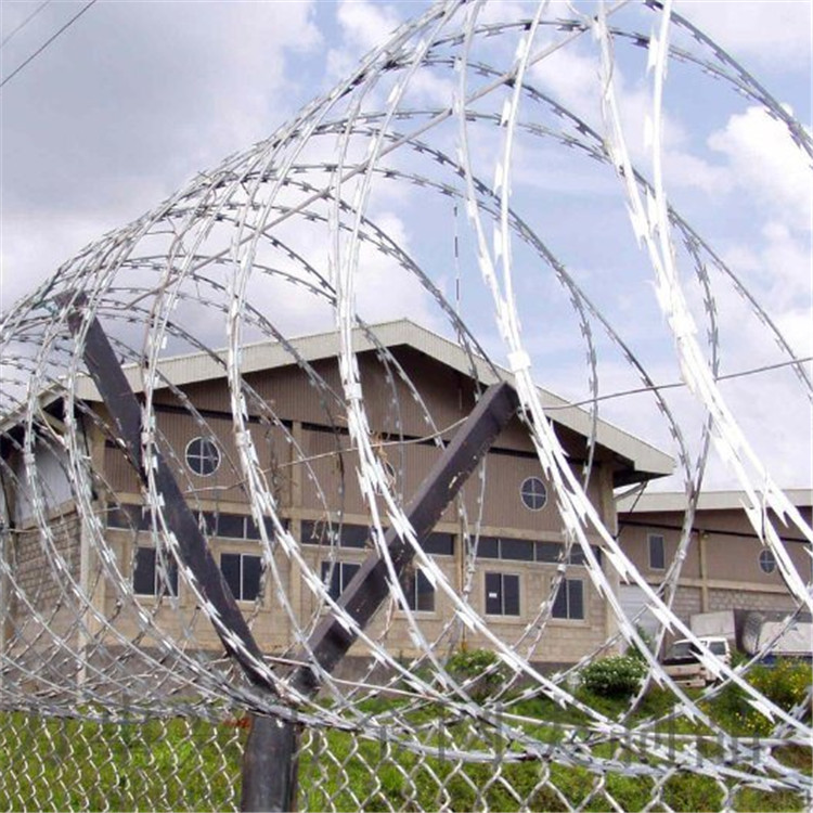 刀刺網(wǎng)案例展示圖片3 刀刺網(wǎng)案例展示圖片3