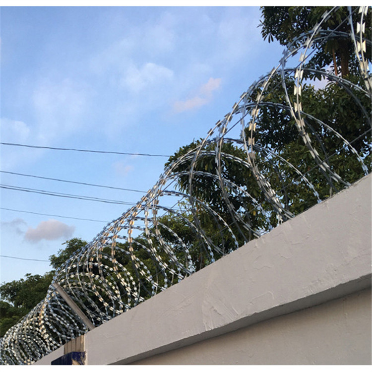 刀刺網(wǎng)案例展示圖片4 刀刺網(wǎng)案例展示圖片4