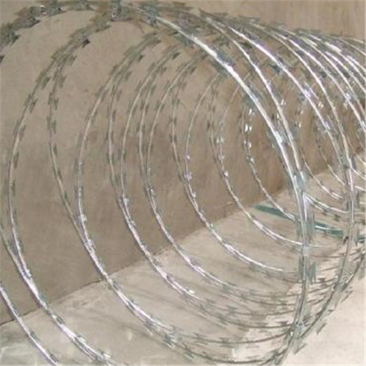 螺旋刀刺網(wǎng)案例展示圖片3 螺旋刀刺網(wǎng)案例展示圖片3